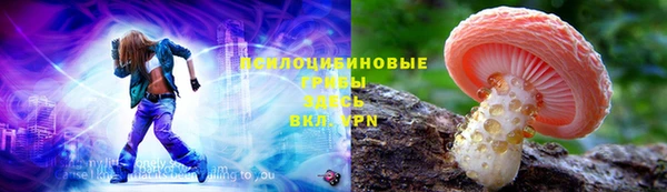 хмурый Надым