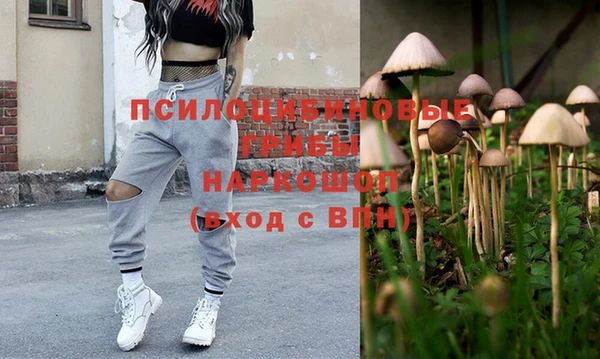 хмурый Надым