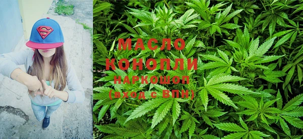 хмурый Надым
