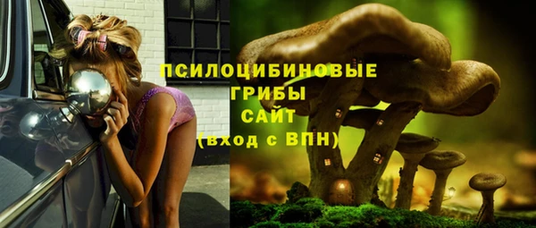 хмурый Надым