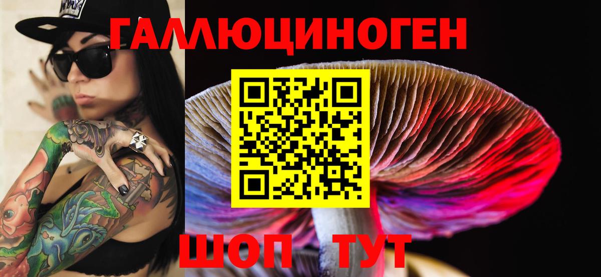 Галлюциногенные грибы Psilocybe Ростов-на-Дону