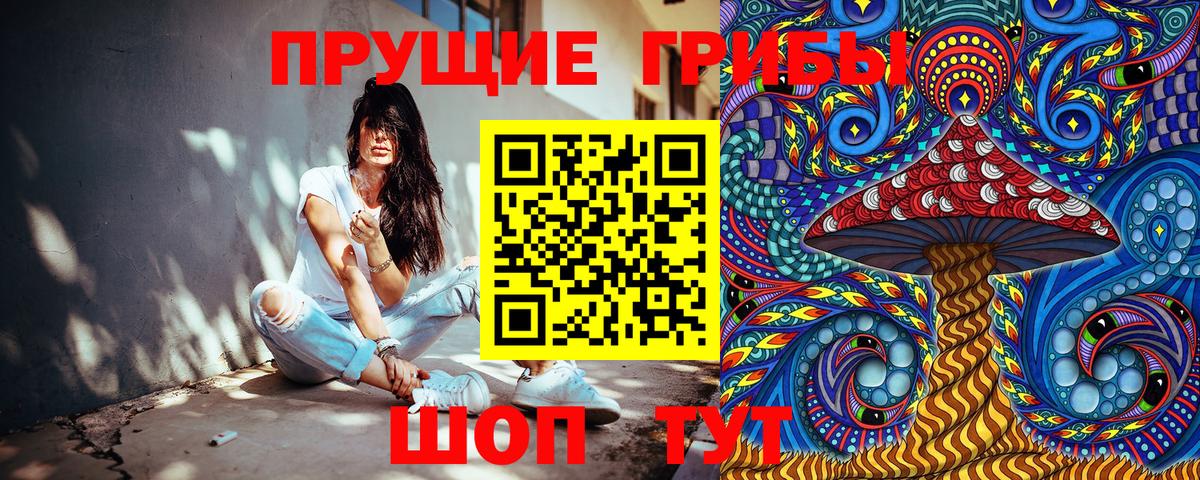 Ростов-на-Дону  Галлюциногенные грибы Cubensis  Вход с VPN 