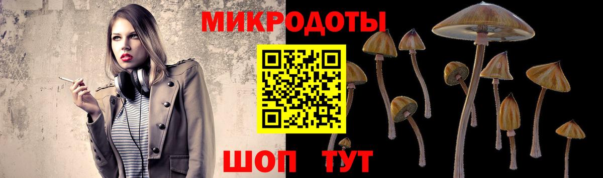 Ростов-на-Дону  закладки  Вход с VPN  Галлюциногенные грибы Psilocybine cubensis 